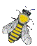 Beekeeping in Cumbria - Furness Beekeepers Link