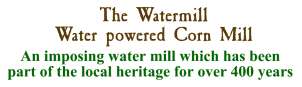 The Water Mill, water powered corn mill. An imposing watermill which has been part of the local heritage for over 400 years. Kestrel cam